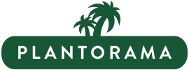 Sponsor Image